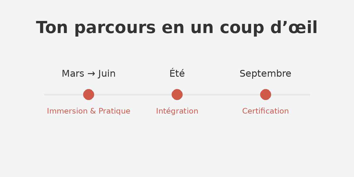 frise_cursus_imaginologie