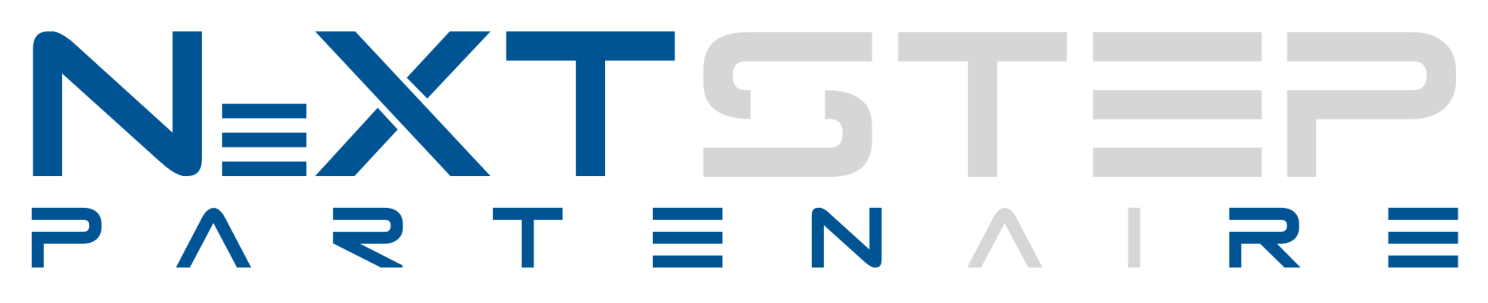 NSP%20-%20LOGO%20NeXTSTEP%20PARTENAIRE%20FULL