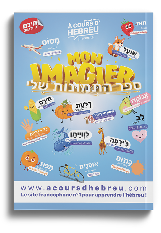 Manuel faux débutant