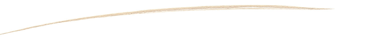 Ligne%20s%C3%A9parateur%20pour%20page%20d_acceuil(1)