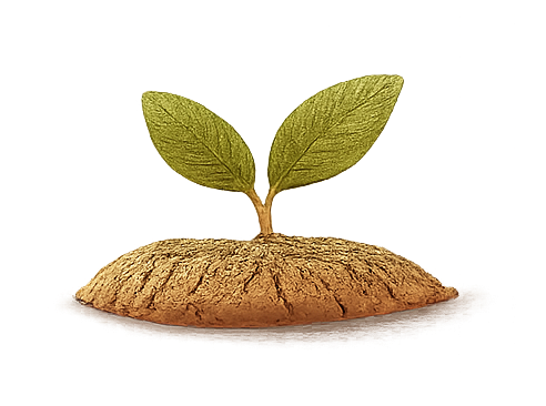 pousse%2C%20plante%20croissance%20symbole%20pour%20la%20page%20d_Acceuil