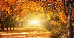 Automne