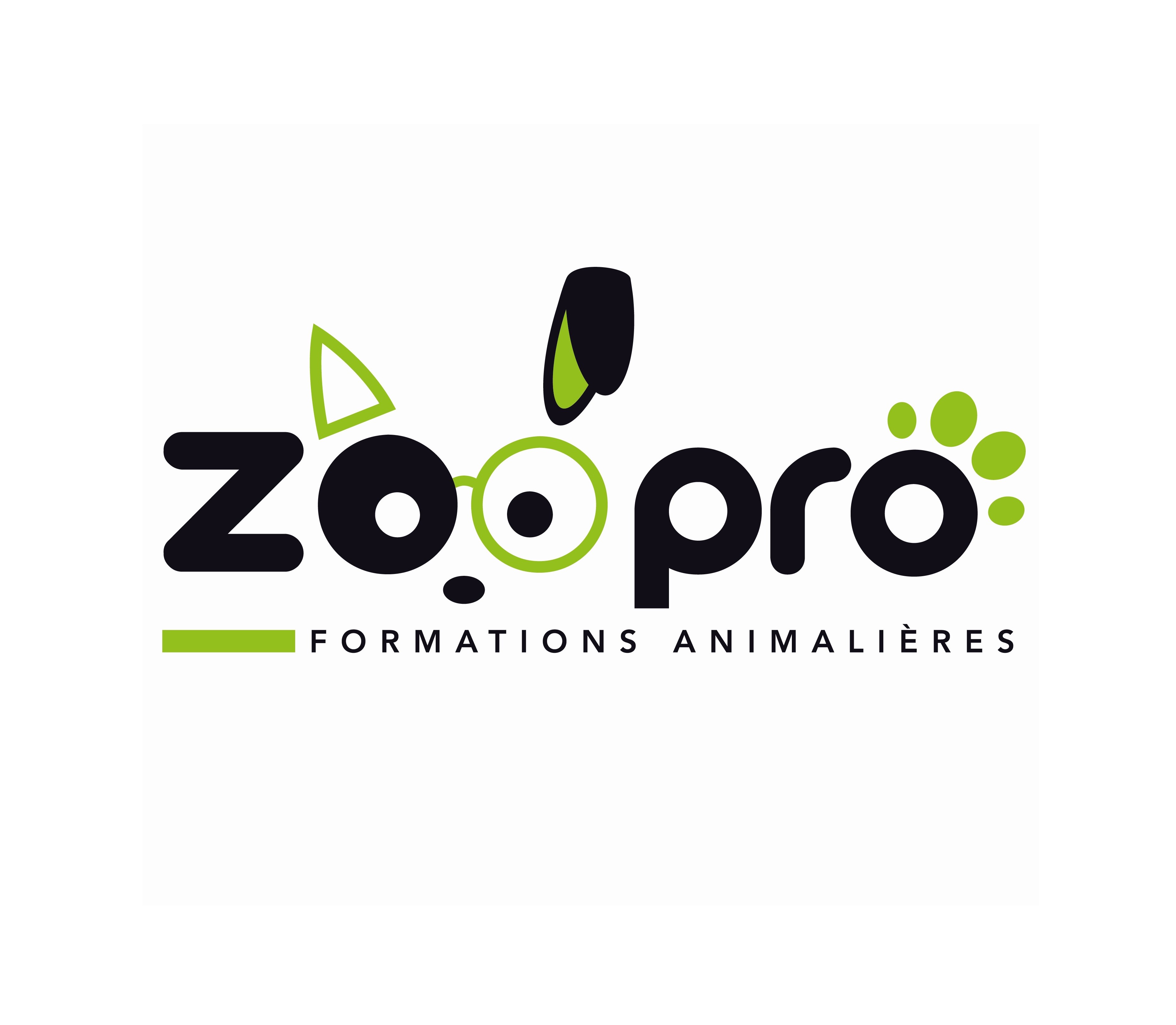 ZOOPRO formations